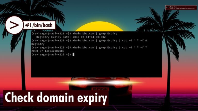 Domain Expiry Date Checker - Find Renewal Timelines 4 Domain Expiry Date Checker - Find Renewal Timelines